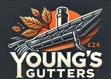 Young-Gutters